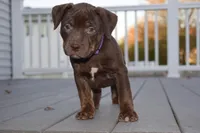 processed/9701d1de-6a64-4d1c-857b-99a484b2edcf/facility/7cb6791a-a909-4c74-bd41-10fd5ba0814a