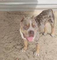 processed/97064d5c-a51b-47bb-ac38-64a20176de0a/listing/a8672e5a-88f2-4854-bf06-710f0217e6bd/0cec0ab2-9e1b-4f8b-9a6b-75be37107b40