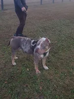 processed/97064d5c-a51b-47bb-ac38-64a20176de0a/listing/a8672e5a-88f2-4854-bf06-710f0217e6bd/25d89d57-d203-47fb-82e7-2a1197f81b88