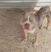 processed/97064d5c-a51b-47bb-ac38-64a20176de0a/listing/a8672e5a-88f2-4854-bf06-710f0217e6bd/6ca281d8-983c-45ff-860b-7615807fe46e