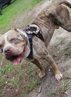 processed/97064d5c-a51b-47bb-ac38-64a20176de0a/listing/a8672e5a-88f2-4854-bf06-710f0217e6bd/78a963a3-e84d-4190-9014-f537f7202c39