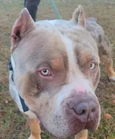 processed/97064d5c-a51b-47bb-ac38-64a20176de0a/listing/a8672e5a-88f2-4854-bf06-710f0217e6bd/e8874600-84fb-4436-a812-6e8f6cfe3084