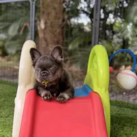 processed/97076162-6acb-4398-8782-343efc06fa16/facility/38f29f4c-786a-400d-8b5c-fc921f850ea4