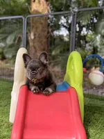 processed/97076162-6acb-4398-8782-343efc06fa16/facility/38f29f4c-786a-400d-8b5c-fc921f850ea4