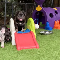 processed/97076162-6acb-4398-8782-343efc06fa16/facility/5720c2c4-8e26-45eb-8c9c-1d71da3d1cd3