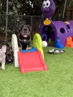 processed/97076162-6acb-4398-8782-343efc06fa16/facility/5720c2c4-8e26-45eb-8c9c-1d71da3d1cd3