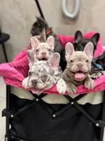 processed/97076162-6acb-4398-8782-343efc06fa16/facility/59b7afe7-7cf4-46f2-b10e-f22cf6e12e8b