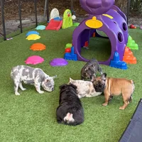 processed/97076162-6acb-4398-8782-343efc06fa16/facility/5d4e6bd5-9460-447d-97d3-3885c7b0c2c2