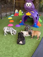 processed/97076162-6acb-4398-8782-343efc06fa16/facility/5d4e6bd5-9460-447d-97d3-3885c7b0c2c2