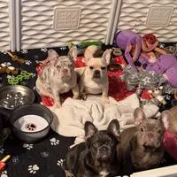 processed/97076162-6acb-4398-8782-343efc06fa16/facility/6c7ffb64-7a73-479d-9766-34269d7a4674