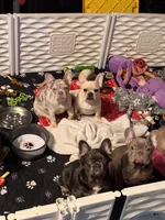 processed/97076162-6acb-4398-8782-343efc06fa16/facility/6c7ffb64-7a73-479d-9766-34269d7a4674