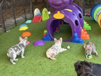 processed/97076162-6acb-4398-8782-343efc06fa16/facility/c80f2421-0a4f-4026-9d58-296d8a1222ac