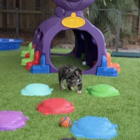 processed/97076162-6acb-4398-8782-343efc06fa16/facility/c9066a58-b6ec-437a-bcb6-cdbea2797c5b