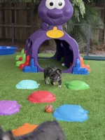 processed/97076162-6acb-4398-8782-343efc06fa16/facility/c9066a58-b6ec-437a-bcb6-cdbea2797c5b