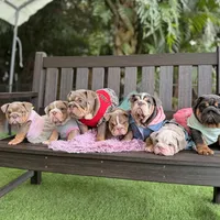 processed/97076162-6acb-4398-8782-343efc06fa16/facility/d5551d35-f658-466d-85c0-47358915bdd2