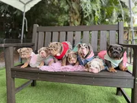 processed/97076162-6acb-4398-8782-343efc06fa16/facility/d5551d35-f658-466d-85c0-47358915bdd2