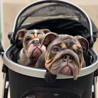 processed/97076162-6acb-4398-8782-343efc06fa16/facility/e714b02e-2125-4157-becd-549d8bce6b84