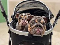 processed/97076162-6acb-4398-8782-343efc06fa16/facility/e714b02e-2125-4157-becd-549d8bce6b84