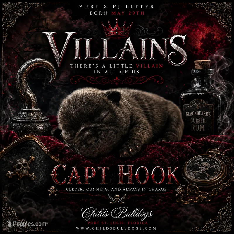 Captain Hook – French Bulldog puppy for sale in Port Saint Lucie, FL