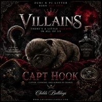 Captain Hook, a male French Bulldog for sale in Port Saint Lucie, FL – 1 of 1