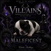Mal, a female French Bulldog for sale in Port Saint Lucie, FL – 1 of 1