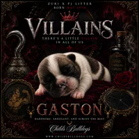 Gaston , a male French Bulldog for sale in Port Saint Lucie, FL – 1 of 1