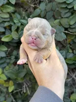 processed/97076162-6acb-4398-8782-343efc06fa16/listing/8ed95df9-c59c-4e7a-a3ea-bcca5c551042/8c3a018b-8283-4974-87f0-819593e9f7c0