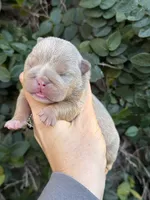 processed/97076162-6acb-4398-8782-343efc06fa16/listing/8ed95df9-c59c-4e7a-a3ea-bcca5c551042/ea344f37-2c39-4649-a6d9-d6d3d4da1c17