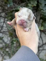 processed/97076162-6acb-4398-8782-343efc06fa16/listing/a0ef9dc0-6eb7-40c4-9814-35eca9647748/8dc25336-40d9-44e3-8a94-f18998d32a6b