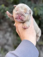 processed/97076162-6acb-4398-8782-343efc06fa16/listing/bca15df1-211b-4815-8076-35d9efa81e17/69549cbf-6eb3-4603-932f-b6c138cf51cf