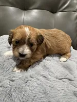 processed/971c3813-78be-4c66-8d24-3649e468ac5d/facility/96186339-20d0-418a-bf06-3a8b074791c6