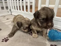 processed/971c3813-78be-4c66-8d24-3649e468ac5d/facility/96d2500f-fdfd-49e2-9e6d-54f9aafe583a