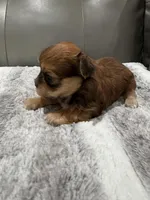 processed/971c3813-78be-4c66-8d24-3649e468ac5d/facility/be98fcae-2524-49cb-9e67-e428602c9bd2