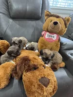 processed/971c3813-78be-4c66-8d24-3649e468ac5d/facility/d03a95d4-4f2c-4740-9def-883ffb19a3f5