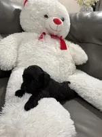 processed/971c3813-78be-4c66-8d24-3649e468ac5d/facility/fea184e9-864e-4cab-8464-90040440d1a1