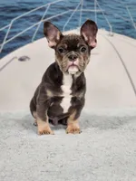 processed/971d0a9f-9b74-4248-97bf-4d1702981828/listing/47597f5f-faa4-47d9-b1ae-7c36e15de6c8/02e6c83f-97db-4b5a-986a-0d5ba6d1088d