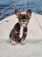 processed/971d0a9f-9b74-4248-97bf-4d1702981828/listing/47597f5f-faa4-47d9-b1ae-7c36e15de6c8/6c2372c6-7dbb-4143-9835-cabb43de40ee