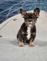 processed/971d0a9f-9b74-4248-97bf-4d1702981828/listing/47597f5f-faa4-47d9-b1ae-7c36e15de6c8/ad69b507-4a0c-498c-bd73-60730561ad4e