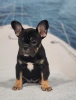 processed/971d0a9f-9b74-4248-97bf-4d1702981828/listing/dbacdf89-c146-4f76-9098-a6535671928f/2388d689-cb81-4b37-bbc3-cd5e7eadbfd3