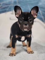 processed/971d0a9f-9b74-4248-97bf-4d1702981828/listing/dbacdf89-c146-4f76-9098-a6535671928f/29d87833-49ac-48fd-bcfa-96d7c0b55e23