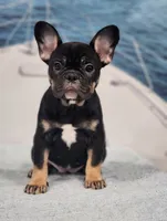 processed/971d0a9f-9b74-4248-97bf-4d1702981828/listing/dbacdf89-c146-4f76-9098-a6535671928f/71c09691-7494-4b2c-b88f-886b01046091