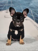 processed/971d0a9f-9b74-4248-97bf-4d1702981828/listing/dbacdf89-c146-4f76-9098-a6535671928f/7c474a45-9a4f-4c04-ba7c-767e900fbd5c