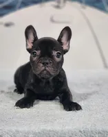 processed/971d0a9f-9b74-4248-97bf-4d1702981828/listing/f7716566-5198-4a8f-8c24-76ee9a3a45c2/156b1140-19c2-4ece-9436-a6bcb9b34ff3