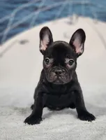 processed/971d0a9f-9b74-4248-97bf-4d1702981828/listing/f7716566-5198-4a8f-8c24-76ee9a3a45c2/2722b321-9a5a-4149-a580-1b4ba99e93de