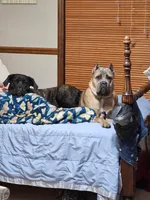 processed/971edf0b-bc0c-4a72-a7ef-7d9c9cf197b4/facility/3c22379c-60e3-4ed6-a5ca-dc25b4382f84