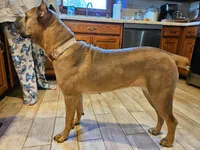 processed/971edf0b-bc0c-4a72-a7ef-7d9c9cf197b4/facility/4bf605f4-a90a-45dd-ac9f-3d514049ad66