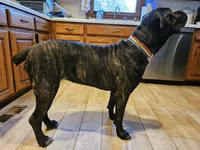 processed/971edf0b-bc0c-4a72-a7ef-7d9c9cf197b4/facility/b036c7d1-ff57-45cf-959e-1b9e290c847f