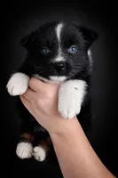 processed/971eeaa9-7952-4fbe-b64a-c356aed62da5/listing/4d4bf7b8-496a-4748-99af-ec613f3c74fd/ac572a9c-05ce-4db0-bb45-eb90c8a69d2c