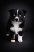 processed/971eeaa9-7952-4fbe-b64a-c356aed62da5/listing/4d4bf7b8-496a-4748-99af-ec613f3c74fd/f78ba9a9-6a57-44c8-aa22-f00cd994bd01