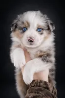 processed/971eeaa9-7952-4fbe-b64a-c356aed62da5/listing/697816c4-5d19-4890-a04b-b3cc8610aa1d/61977a75-f70d-4a65-bcf5-c15e5e4f9c66